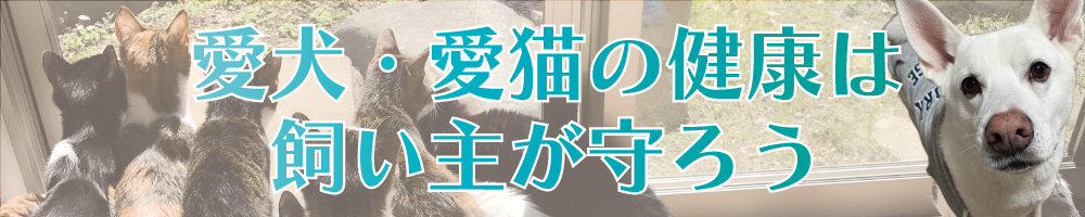 愛犬・愛猫の健康は飼い主が守る