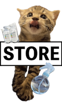 レヴェがSTOREにくるのを待っている